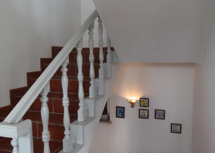 Casa Sampaio E Melo Penzion 3*